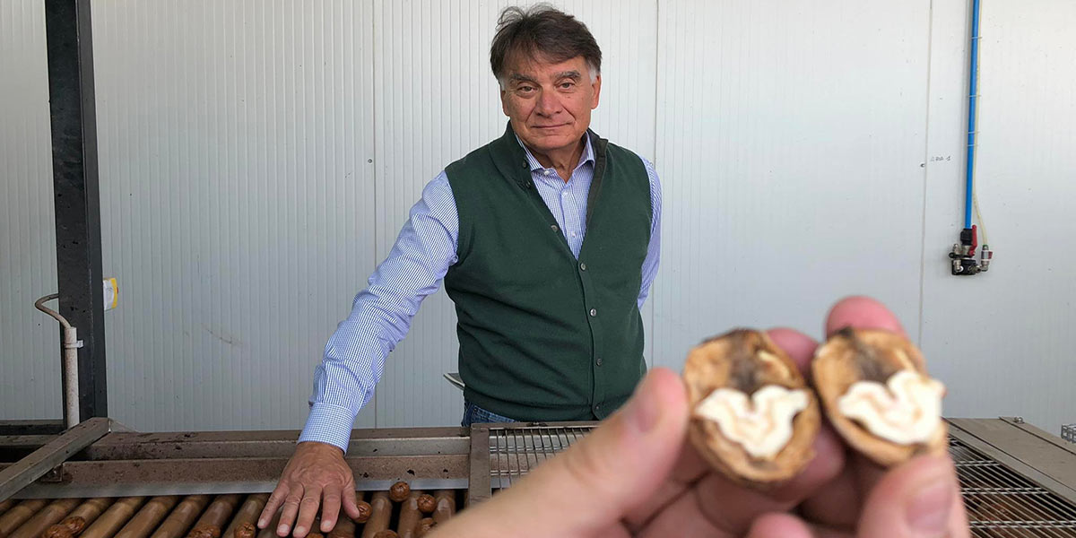 Frutta secca, l'Italia tra rischi e opportunità: cosa succede con i dazi USA